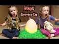 Easter Egg Hunt in HUGE Box Fort Maze! We Find a GIANT Chocolate Surprise Egg!!!