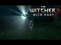 Let´s Play The Witcher 3: Wild Hunt #482 Nächtliche Wanderung
