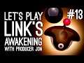 Link's Awakening Switch Gameplay: Link's Awakening with Producer Jon Pt 13 - FACING THE FACE SHRINE!