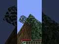 Minecraft Leaves Do More Than You Think