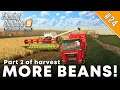 MORE BEANS! | Sandy Bay 19 with Seasons | Farming Simulator 19 Timelapse | Episode 24