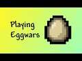 Playing Eggwars on Cubecraft! (MCPE / Bedrock)