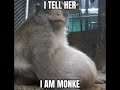 told her i am monkey