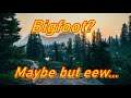 Bigfoot Leaves Footprint & Poop Trail BFRO Report #67551