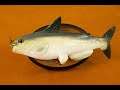 Интерактивная рыба Cool Cat Fish
