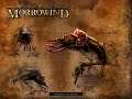 La sentinelle de Morrowind episode 13 : Probleme a l'horizon