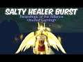 Salty Healer Burst - Holy Paladin PvP