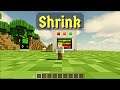 Shrink Mod 1.16.5 - Tiny Size Player in Minecraft