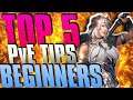 Top 5 PvE TIPS for BEGINNERS | Black Desert Online