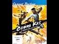 Casual Gamer's Review: Cobra Kai (the video game) PS4 by Mad Respect TV
