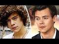 Harry Styles - Music Evolution (2011 - 2019)
