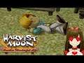 Harvest Moon Another Wonderful Life Rock All Heart Events
