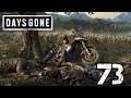 Just Doing My Job-Let's Play Days Gone Part 73