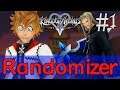 Kingdom Hearts 2 Final Mix RANDOMIZER #1 Roxas' Struggle
