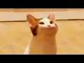 Pop Cat singing AMONG US Theme Song (BB GOAT Remix)