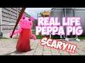 Bad Peppa Pig vs Funny Dogs in Real Life Animation
