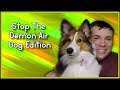 Dog Chases Air From Air Compressor #shorts #sheltie || Stop The Demon Air! ||