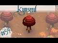 Kynseed | Autumn Again | Ep 59