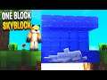 Minecraft Skyblock But You Only Get 1 Block (7)