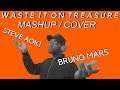 Waste It On Treasure | Steve Aoki & Bruno Mars Cover/Mashup ~ E-Virtuoso
