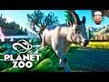 A Volta do Retorno | Planet Zoo #09 | Gameplay pt br