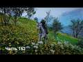 Assassin's Creed® Valhalla - Прохождение. Часть 152