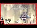 Auf und Ab im Bienenstock #57 - Hollow Knight