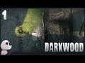 Darkwood ● Прохождение #1 ● ДНЕМ ИЗУЧАЙ, НОЧЬЮ ВЫЖИВАЙ