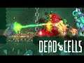 Dead Cells Stream - "Use What You See" colorless item run (5 boss cells active)