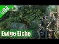 Die ewige Eiche #4 Total War Warhammer II (Waldelfen)