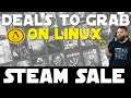 Steam Sale Recommendations 2021 | Linux Gaming