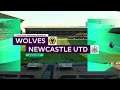 Wolves vs Newcastle 1-1 | Premier League - EPL | 11.01.2020