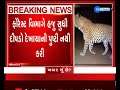 Fear among the people as leopard seen in Kalawad Jamnagar