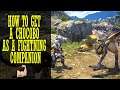 FINAL FANTASY 14 - 2020 PS4 GUIDE: HOW TO GET YOUR CHOCOBO AS A FIGHTNING COMPANION