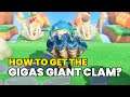 How to Catch GIGAS GIANT CLAM in Animal Crossing New Horizons? (Months/Hours/Shadow Size)