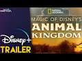 Magic of Disney’s Animal Kingdom | Disney+ Trailer