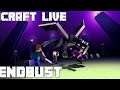 Minecraft iCraft SMP Livestream: End-Busting