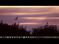 New Windows 10 PC Tips How to select your favorite default browser