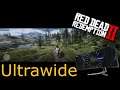 Red Dead Redemption 2 at 3840x1080 32:9 with SAMSUNG 49" CURVED LC49HG90DMUXEN