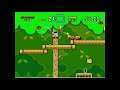 Super Mario World - Part 4: Forest of Illusion