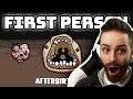FIRST PERSON ISAAC? - Afterbirth+ Mod