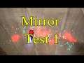 Mirror Test 1