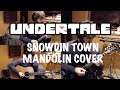 Snowdin Town - Undertale - Mandolin Arrangement
