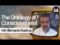 Bernardo Kastrup on The Subjective Experience | The Big Idea