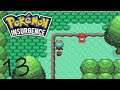 Am I Still In The Gym?!?! - Let's Play Pokemon Insurgence Part 13 (Tos)