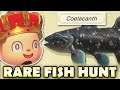 🐟 COELACANTH HUNT!  Animal Crossing New Horizons RARE FISH HUNT!