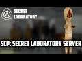 How to make an SCP: Secret Laboratory Server | Play SCP: Secret Laboratory With friends