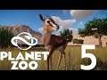 Let's Play Planet Zoo: Franchise (Part 5) - Where the Springboks and Gazelles Play