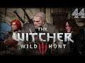 Let's Play The Witcher 3 Wild Hunt Part 44