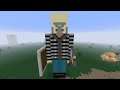 Minecraft Johnny the vindicator before ILL